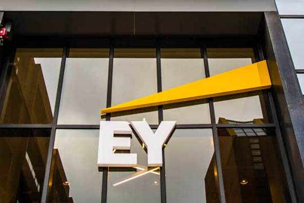 Ernst&Young         2016 