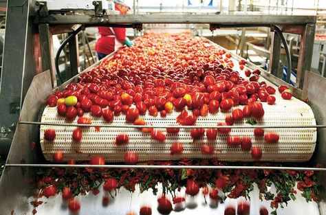 Agrofusion      