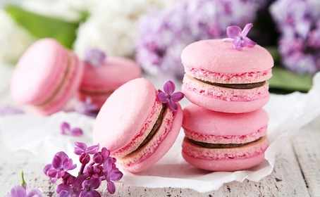    Le premier festival des Macarons