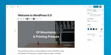  WordPress 5.0 Bebo