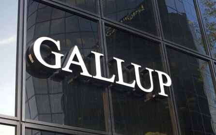 Gallup Institute    