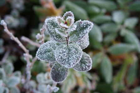        -5 C